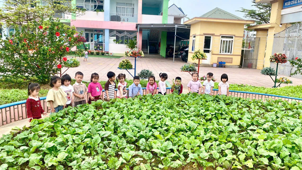 Lớp  mẫu giáo 3 tuổi C - Trường Mầm non Kỳ Ninh với hoạt động ngoài trời